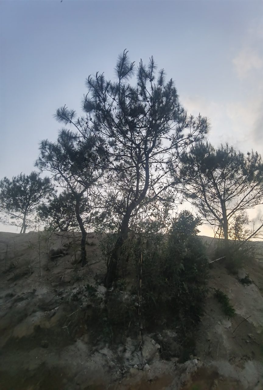 高山土鸡汤真的绝，连喝三碗